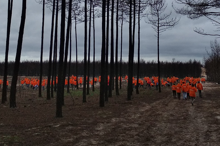 Várias pessoas vestidas de cor de laranja na mata de Leiria