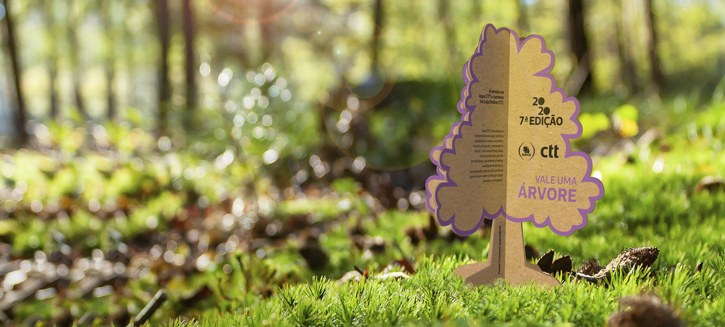 Conheça aqui os nossos projetos internos (teste)