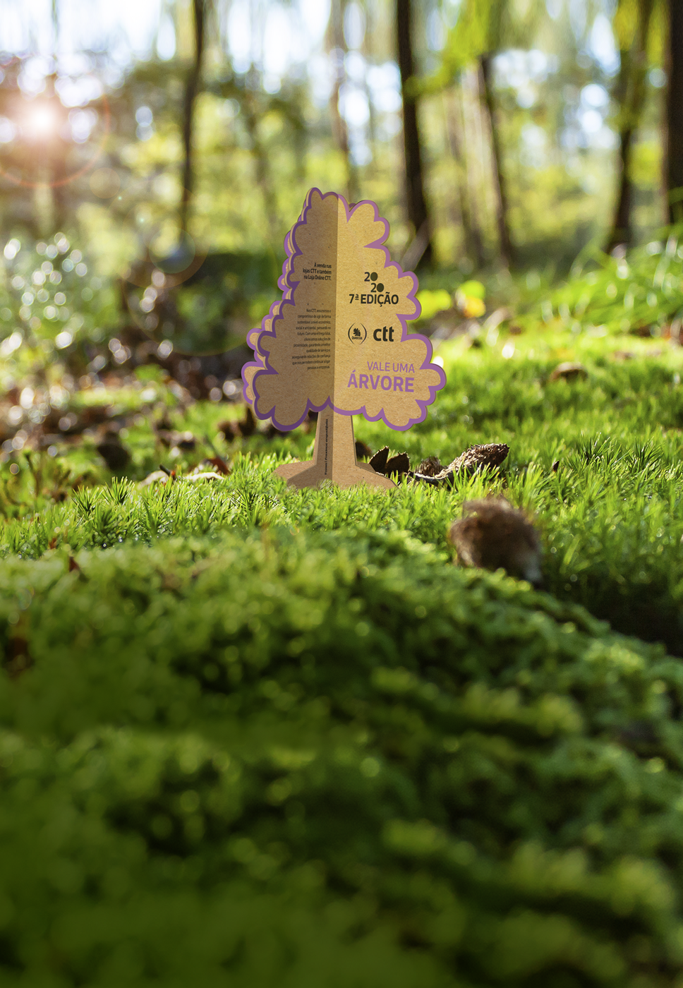 Conheça aqui os nossos projetos internos (teste)