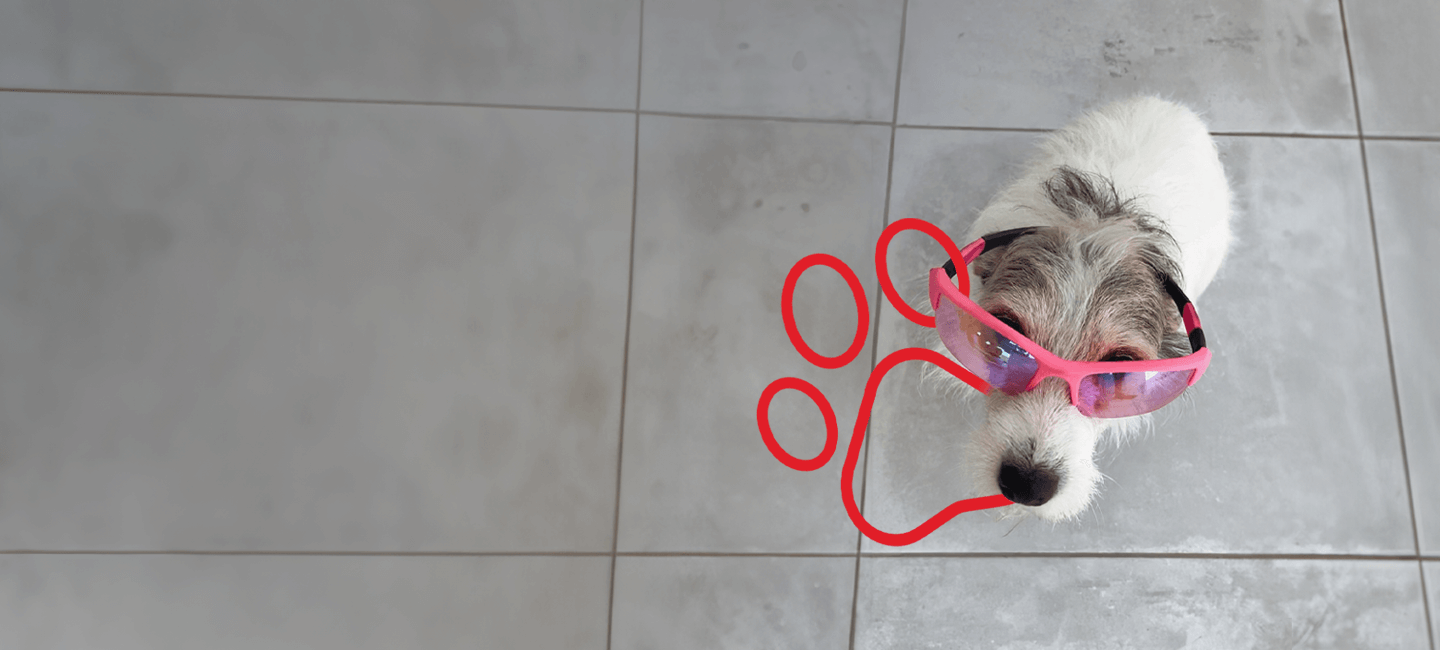 Cão com ícone de pata vermelha.