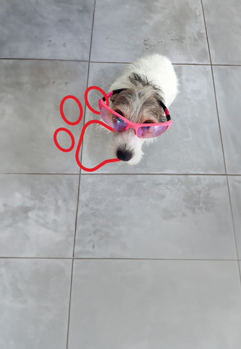Cão com ícone de pata vermelha.