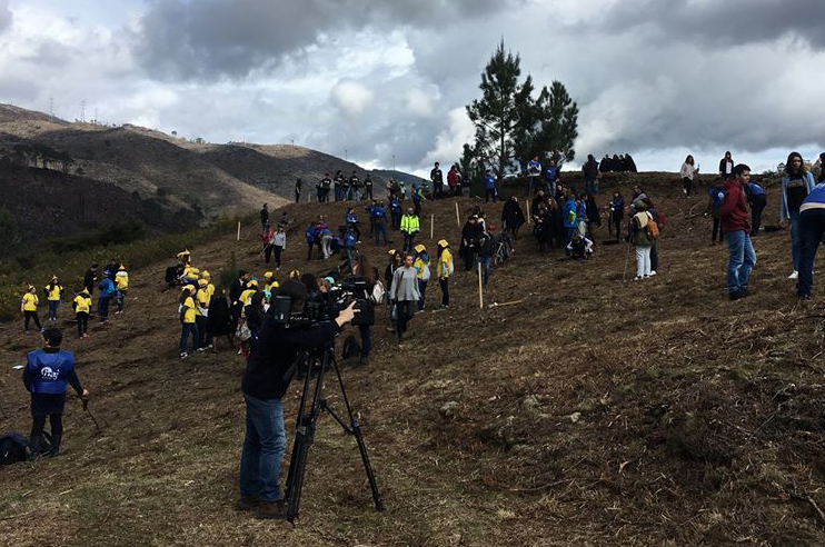 Várias pessoas a plantar