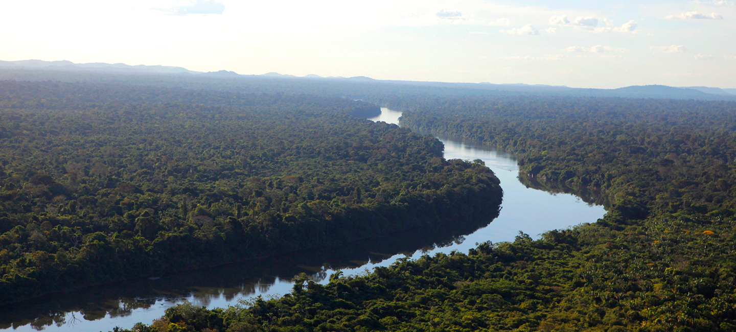 Paisagem floresta amazónica