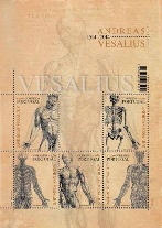 Série Andreas Vesalius