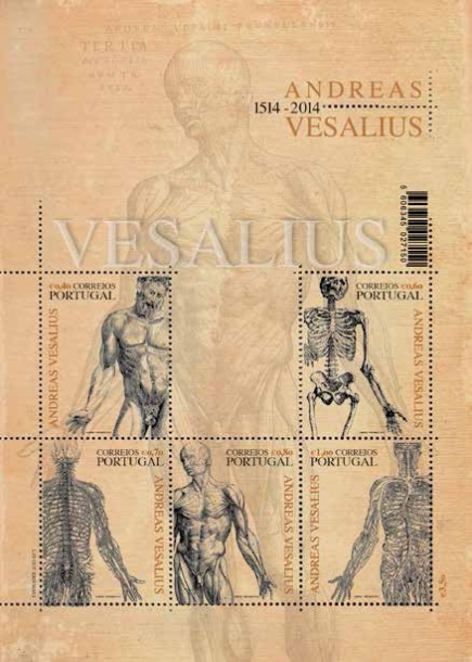 Série Andreas Vesalius
