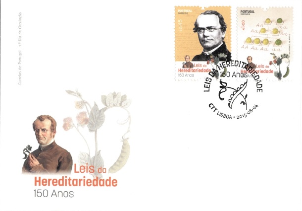 FDC