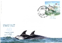 FDC