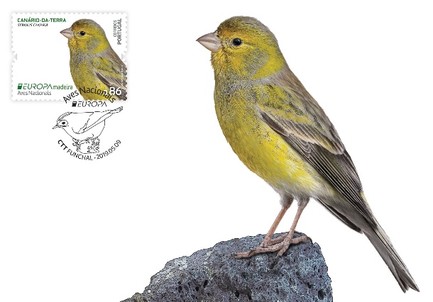 BPM Europa Aves - Madeira