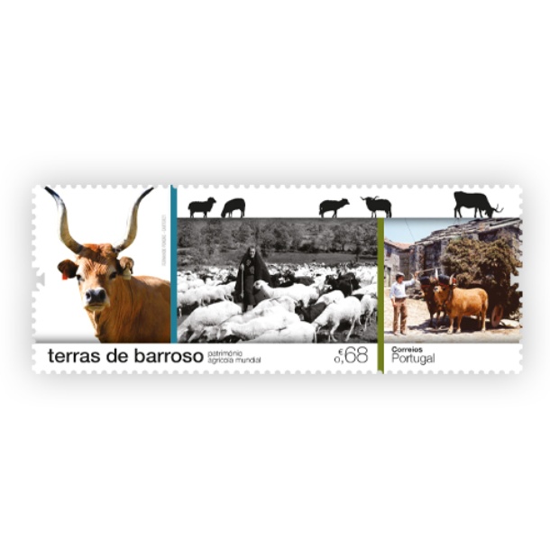 Série Terras de Barroso