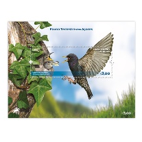 Bloco Fauna Terrestre dos Açores