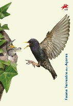 Pagela com Série e Bloco Fauna Terrestre Açores