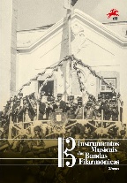 Pagela com Série Instumentos Bandas 2º.g
