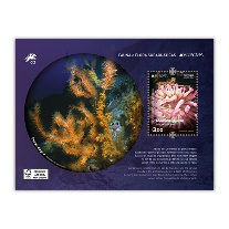 Bloco Madeira Europa 2024