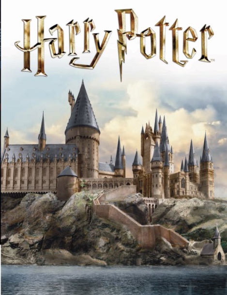 Carteira Prestige Harry Potter