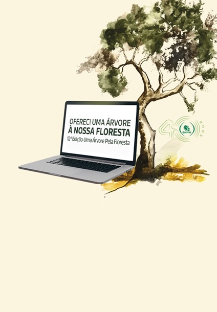 Imagem de uma oliveira